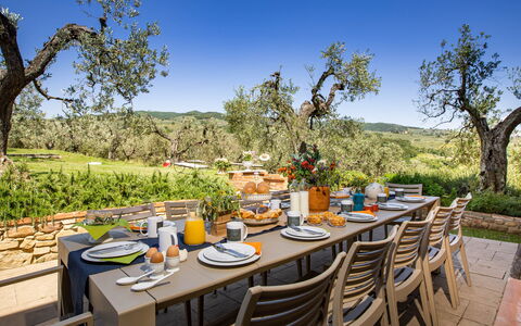 Villa Monnalisa 12: Furniture, Table, Outdoor Furniture, Outdoor Table, Garden, Kitchen & Dining Room Table, Chair, Landscaping, Restaurant, Patio