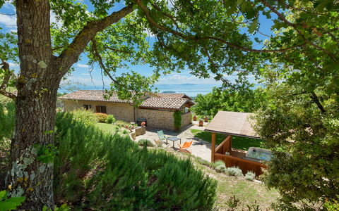 Antiche Pietre 10: Cottage, House, Shrub, Home, Rural Area, Farmhouse, Garden, Estate, Garden Buildings