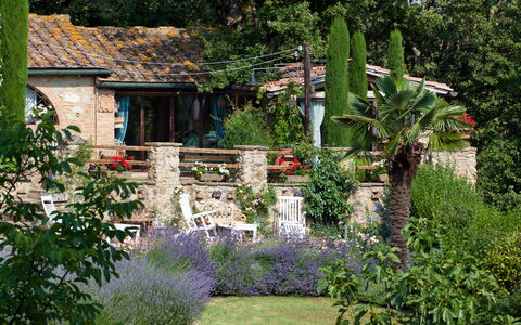 Borgo Paradiso 4+2: Shrub, Garden, Backyard, Spring, Groundcover, Landscaping, Cottage, Yard, Flowerpot