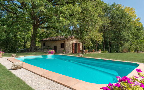 Mulino della Quercia 2+1: Swimming Pool, Garden, Backyard, Shade, Landscaping, Hacienda, Farmhouse, Yard, Eco Hotel, Resort
