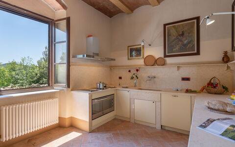 Terripi 10: Wall, Flooring, Wood, Furniture, Interior Design, Kitchen, Countertop, Kitchen Appliance, Floor, Room