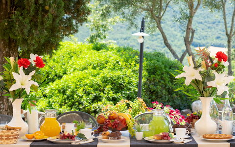 Terripi 10: Tableware, Green, Table, Furniture, Food, Fruit, Tablecloth, Drinkware, Serveware