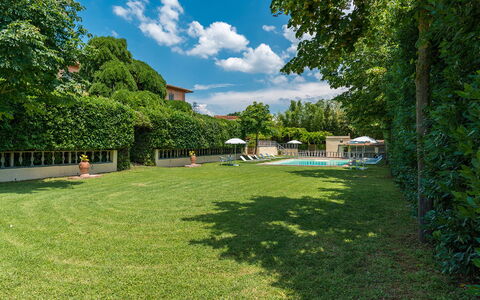 Villa delle Sophore 12: Swimming Pool, Shrub, Garden, Lawn, Shade, Estate, Landscaping, Yard, Backyard, Hedge