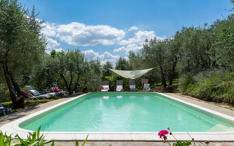 Villa Fiorentini 10: Swimming Pool, Outdoor Furniture, Garden, Backyard, Chair, Yard, Landscaping, Resort, Shade, Hacienda