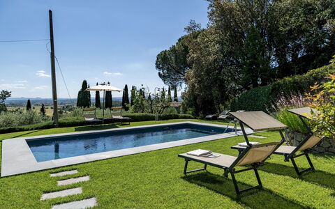 Tenuta Sagherina 8: Swimming Pool, Garden, Shrub, Outdoor Furniture, Lawn, Landscaping, Yard, Backyard, Shade, Estate