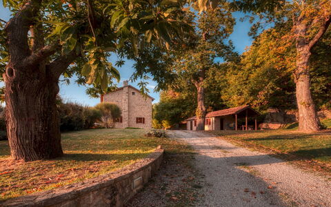 Casale del Castagneto 8: Tree, Branch, Grass, Leaf, Nature, House, Cottage, Home, Landscape, Roof