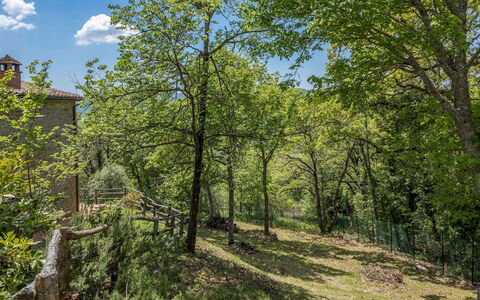 Casa Largnano 6+2: Branch, Tree, Leaf, Nature, Vegetation, Shrub, Plant Community, Twig, Spring, Trunk
