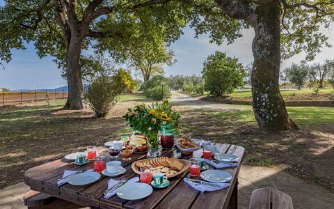 Casale le Tre Querce 8+1: Tree, Landscape, Furniture, Outdoor Furniture, Plain, Trunk, Picnic Table, Outdoor Table, Outdoor Bench, Garden
