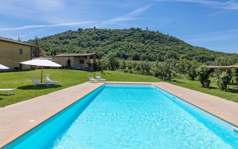 Podere Pratovecchio 14+2: Swimming Pool, Estate, Farmhouse, Villa, Eco Hotel, Hacienda, Resort, Hotel