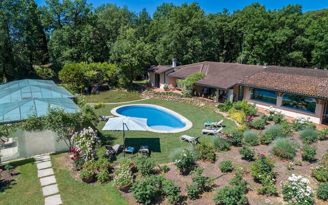 Villa Mimmina 8: Swimming Pool, Garden, Shade, Resort, Lawn, Estate, Leisure, Landscaping, Backyard, Eco Hotel
