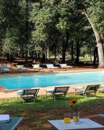 Borgo Gallinaio 32: Outdoor Furniture, Furniture, Swimming Pool, Shade, Resort, Garden, Sunlounger, Eco Hotel, Hacienda, Landscaping