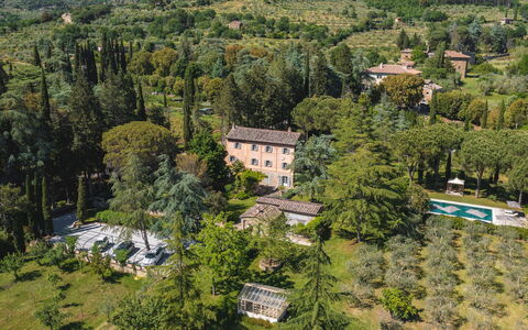 Villa Metelliano 10: Tree, Vegetation, Home, House, Residential Area, Estate, Landscape, Land Lot, Human Settlement, Garden