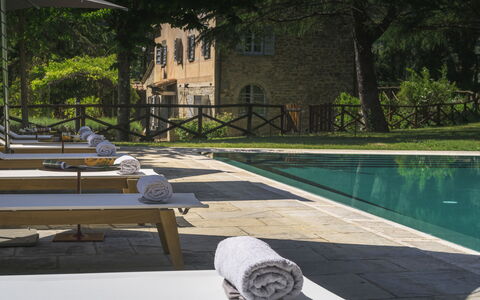 Villa Metelliano 10: Swimming Pool, Outdoor Furniture, Furniture, Composite Material, Resort, Sunlounger, Chair, Estate, Flagstone, Eco Hotel