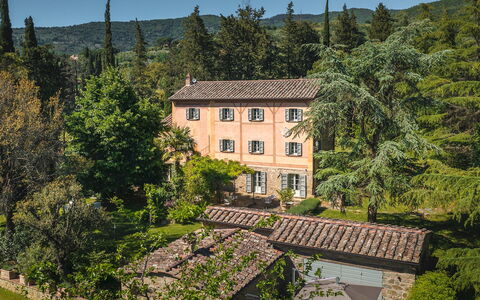 Villa Metelliano 10: Tree, Building, Window, House, Shrub, Home, Roof, Rural Area, Estate, Cottage
