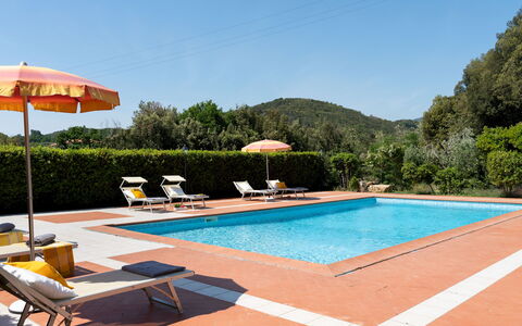 Villa Nikka 6: Swimming Pool, Resort, Eco Hotel, Hacienda, Hotel, Sunlounger, Thermae, Villa