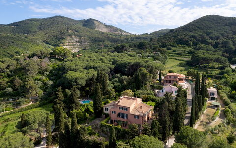 Casa del Duca 10: Tree, Natural Environment, Nature, Vegetation, Natural Landscape, Landscape, Highland, Hill, Plant Community, Hill Station