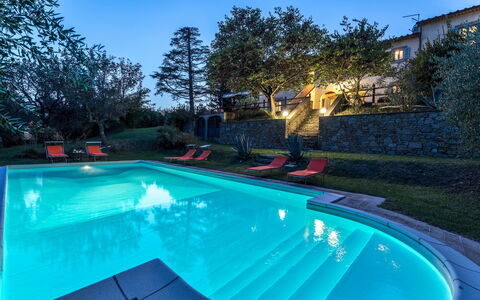 Casa Pippin 8: Swimming Pool, Blue, Resort, Eco Hotel, Estate, Hacienda, Garden, Backyard, Water Feature, Landscaping
