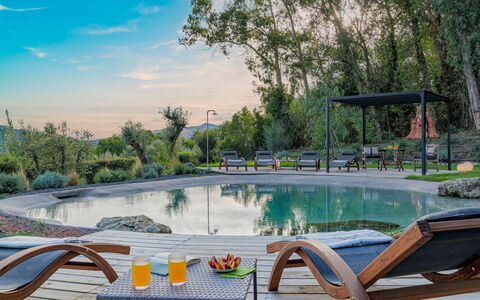 La Leopoldina 6: Swimming Pool, Outdoor Furniture, Resort, Garden, Landscaping, Reflection, Chair, Water Feature, Pond, Sunlounger