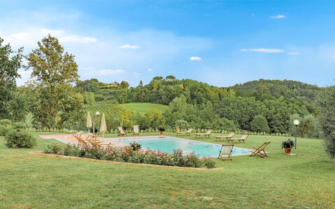 Il Cerreto 11: Tree, Vegetation, Natural Landscape, Landscape, Shrub, Land Lot, Swimming Pool, Garden, Plantation, Eco Hotel