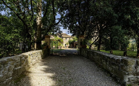 Case Novole 10: Leaf, Branch, Shrub, Garden, Sunlight, Shade, Estate, Driveway, Landscaping, Stone Wall