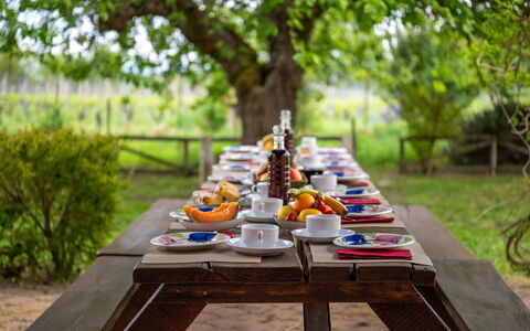 Sangiovese 14: Tableware, Table, Furniture, Food, Outdoor Furniture, Garden, Outdoor Table, Serveware, Breakfast, Picnic