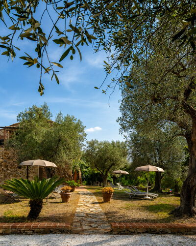 Casale le Lupe Apartments: Garden, Estate, Hacienda, Landscaping, Farmhouse, Yard, Villa, Shade, Backyard, Driveway