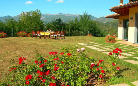 Villa Saida: Natural Landscape, Garden, Flower, Property, Botanical Garden, Yard, Plant, Botany, Spring, Wilderness