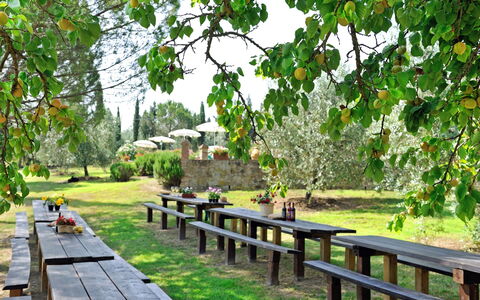 Montelopio: Nature, Nature Reserve, Tree, Natural Landscape, Botany, Walkway, Grass, Garden, Plant, Spring