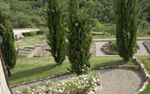 La Maccinaia 14: Tree, Grass, Botany, Garden, House, Architecture, Landscape, Landscaping, Plant, Building