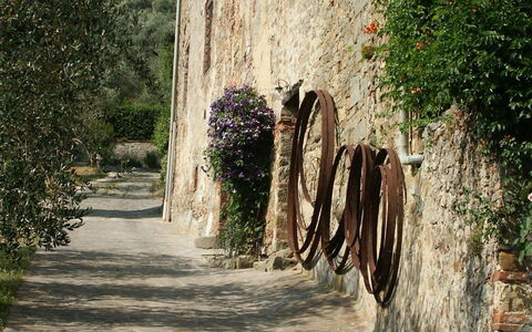 La Loggia 13: Wall, Town, Tree, Water, Street, Rock, Road, Architecture, House, Infrastructure