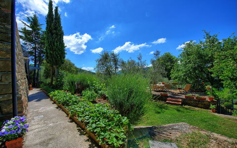 Panzalla: Garden, Nature, Property, Natural Landscape, Vegetation, Blue, Sky, Botanical Garden, Tree, Real Estate