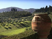 Panoramic view of the estate