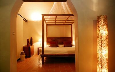 Tiziano+Leonardo: suite