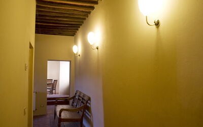 Michelangelo: living