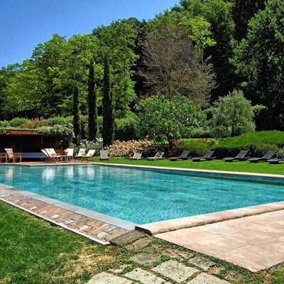 Villa Petrognano: Swimming Pool, Natural Landscape, Property, Grass, Backyard, Yard, Leisure, Landscaping, Landscape, Estate