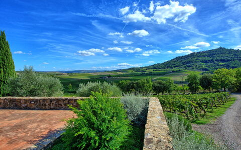 Brunello: Cloud, Plant, Sky, Green, Natural Landscape, Grass, Land Lot, Tree, Cumulus, Grassland