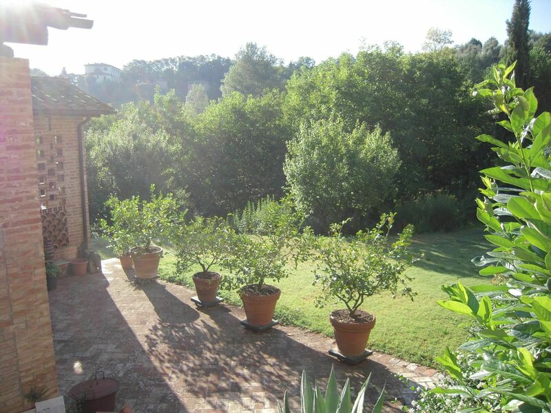 The field early in the morning