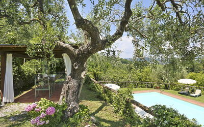 Villa Oleandri