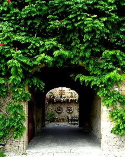 Il Camino