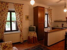 Living Room and Kitchen 