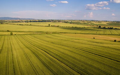 Agriturismo San Francesco