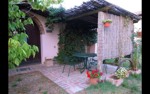 Fattoria la Gabola: Property, Backyard, Yard, House, Shed, Building, Cottage, Garden Buildings, Garden, Landscaping