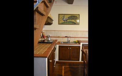 Accommodation:&nbsp;Selene