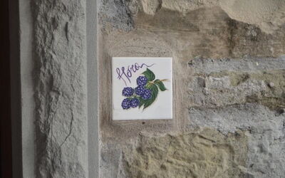 Accommodation:&nbsp;La Mora