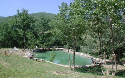 Accommodation:&nbsp;Rosa Canina