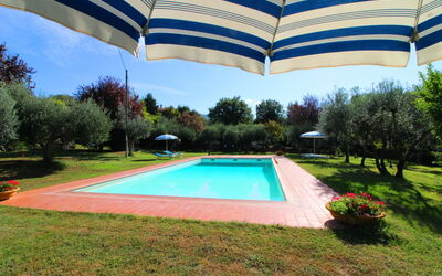 Ca di Maestro: Plant, Property, Water, Umbrella, Sky, Azure, Tree, Swimming Pool, Shade, Building