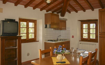 Accommodation:&nbsp;Il Susino