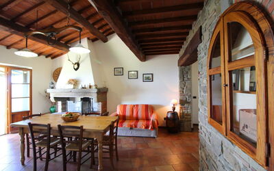 Accommodation:&nbsp;Poiana