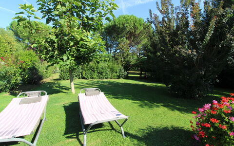 Pagliazzone: Plant, Sky, Plant Community, Flower, Cloud, Natural Landscape, Botany, Tree, Shade, Outdoor Furniture