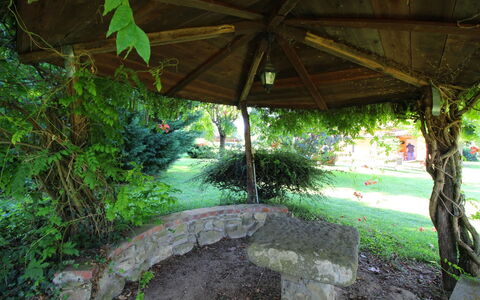 Pagliazzone: Plant, Botany, Shade, Water, Vegetation, Terrestrial Plant, Arecales, Woody Plant, Natural Landscape, Grass